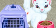 Baby Taylor Pet Care – Save Cute Animals